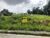 Terreno, 373 m² - Foto 1