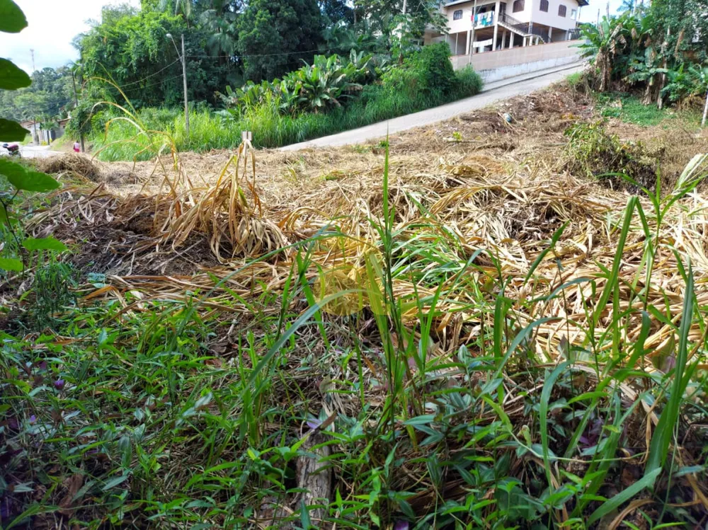Terreno, 1122 m² - Foto 7
