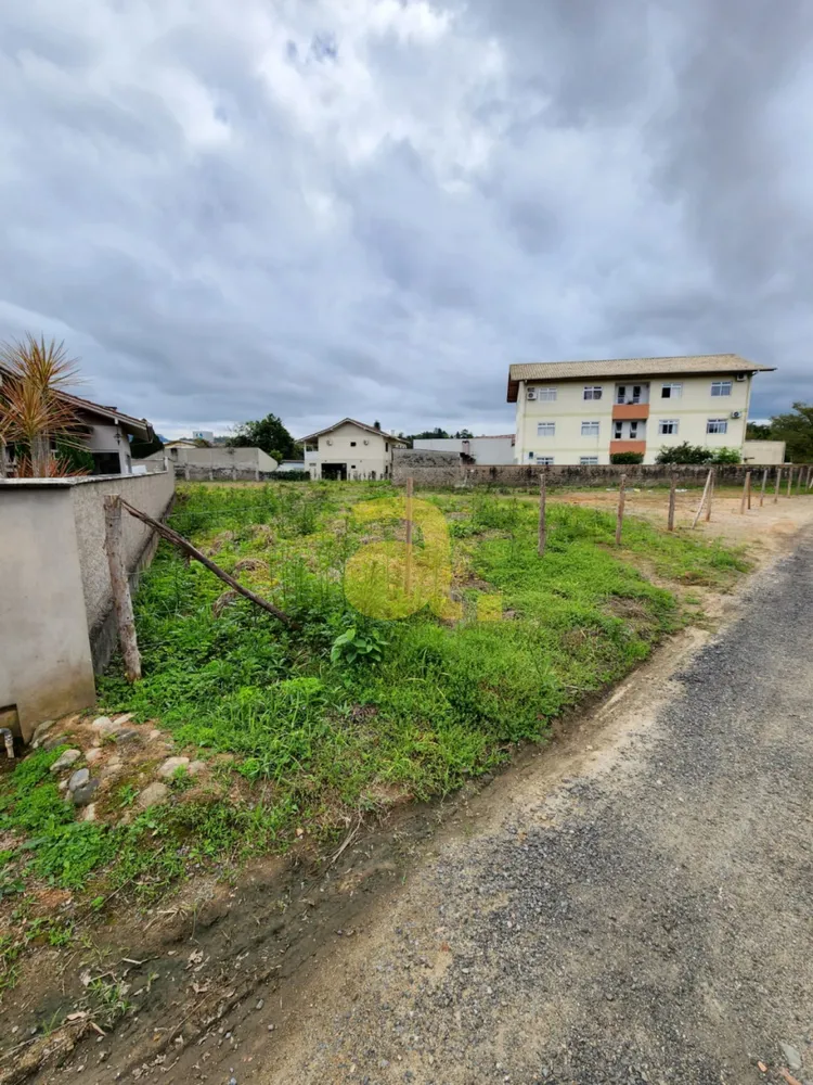 Terreno, 3181 m² - Foto 5