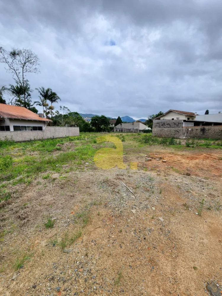 Terreno, 3181 m² - Foto 3