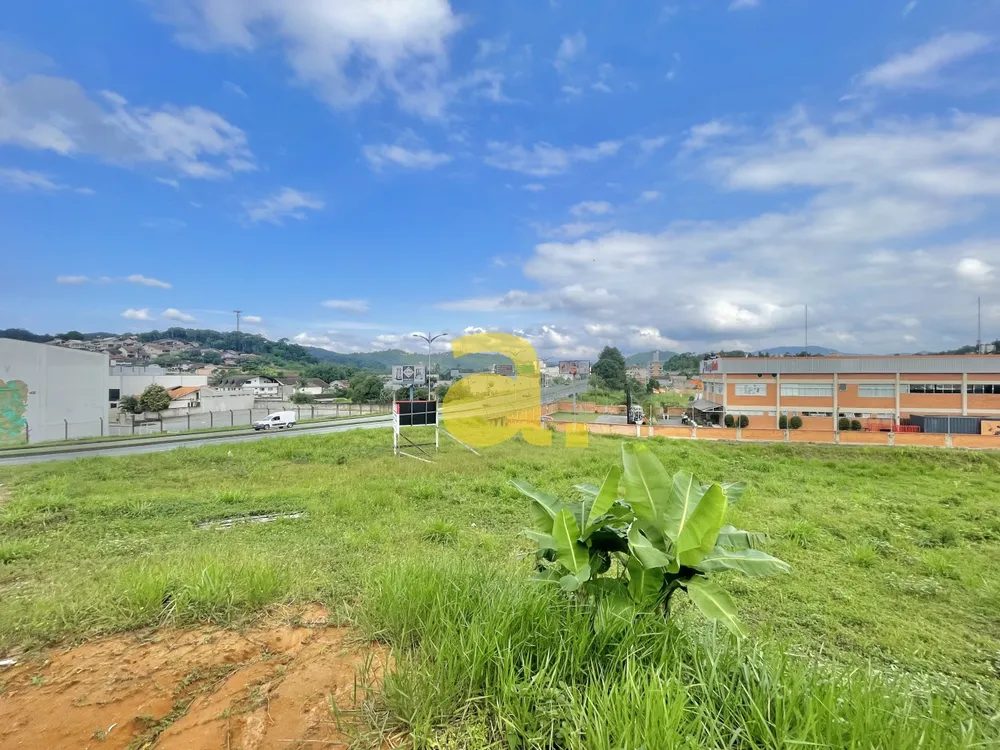 Terreno, 4054 m² - Foto 4