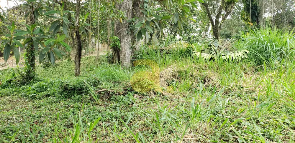 Terreno, 870 m² - Foto 1