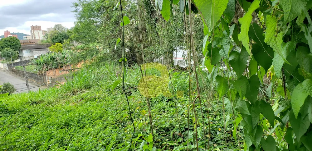 Terreno, 870 m² - Foto 2