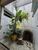 Casa, 3 quartos, 340 m² - Foto 14