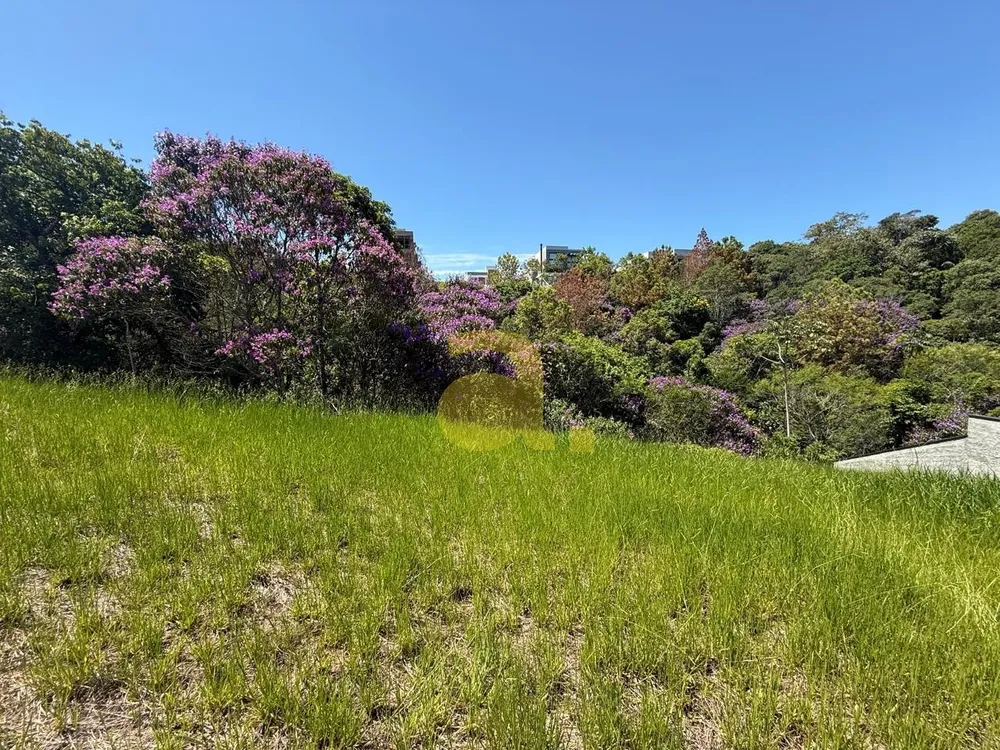 Terreno, 375 m² - Foto 14