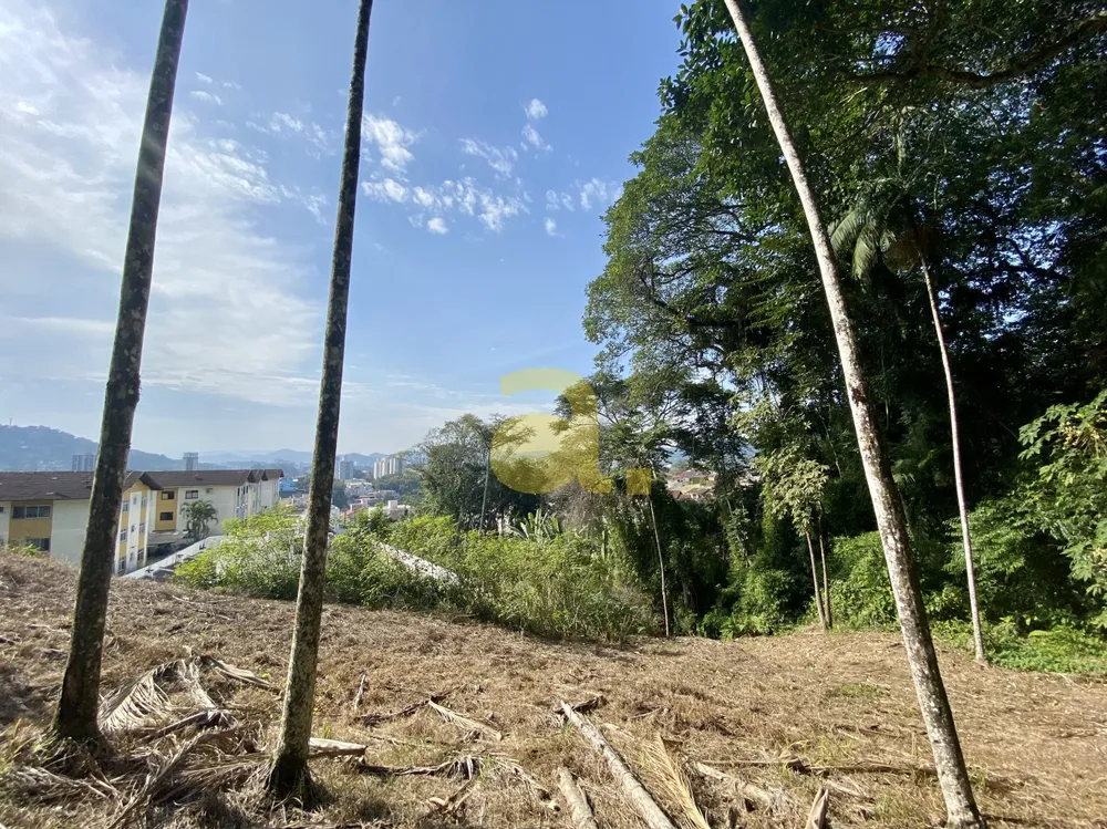 Terreno, 3000 m² - Foto 6