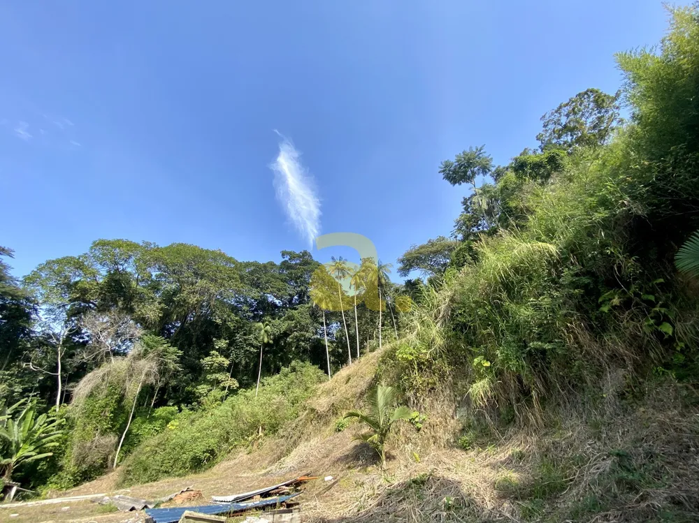 Terreno, 3000 m² - Foto 4