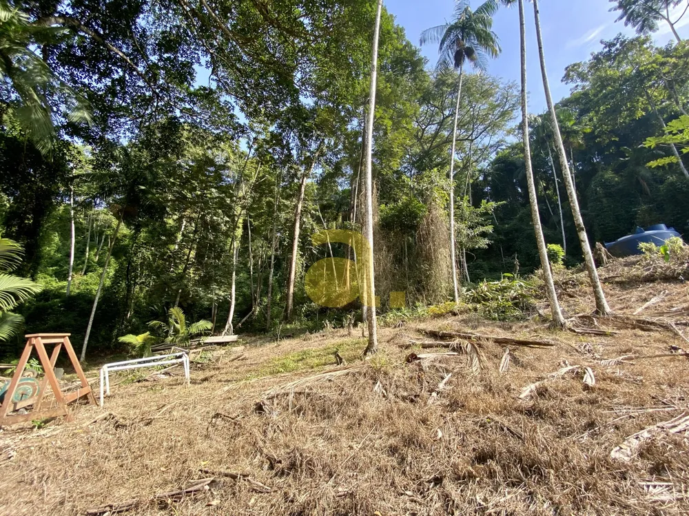 Terreno, 3000 m² - Foto 13