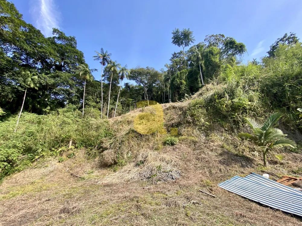 Terreno, 3000 m² - Foto 6