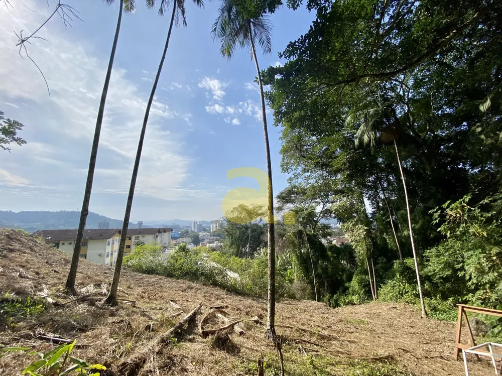 Terreno, 3000 m² - Foto 3