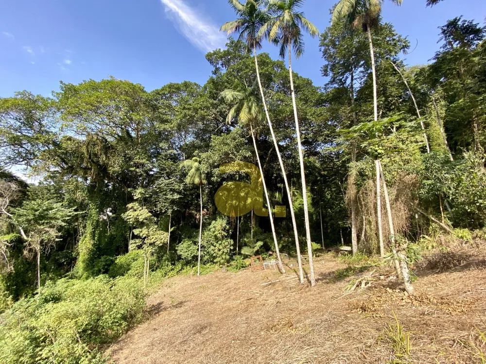Terreno, 3000 m² - Foto 2