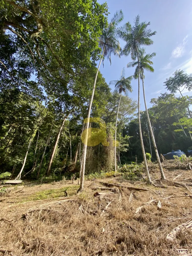 Terreno, 3000 m² - Foto 12