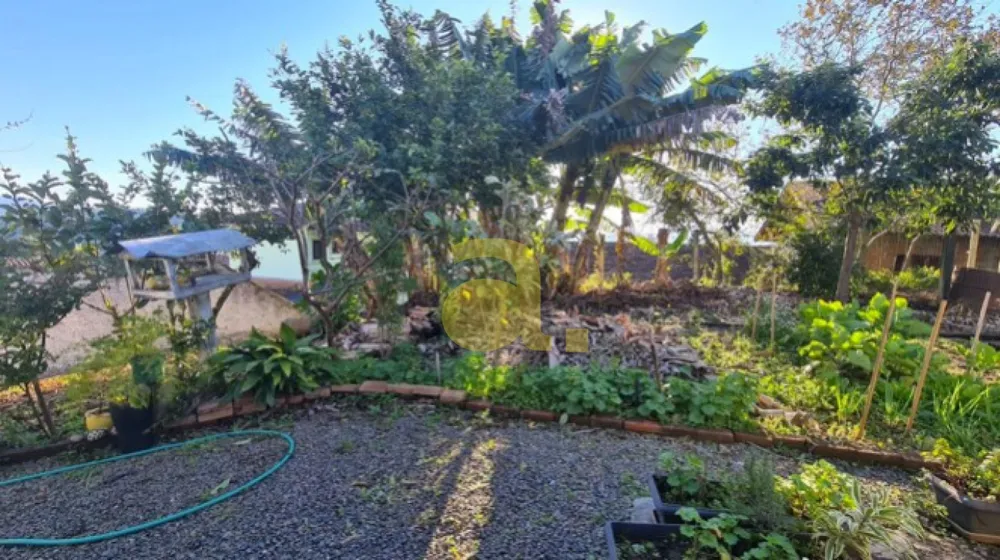 Casa, 5 quartos, 254 m² - Foto 4