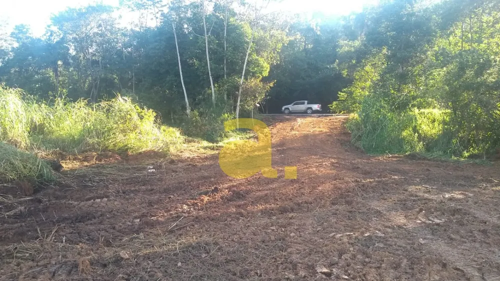 Terreno, 2 hectares - Foto 3