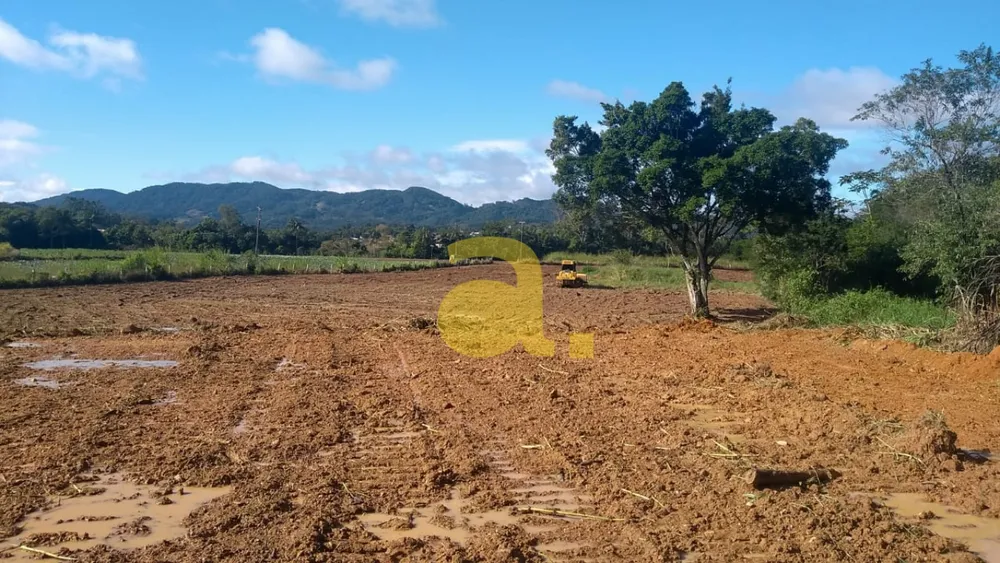 Terreno, 2 hectares - Foto 8