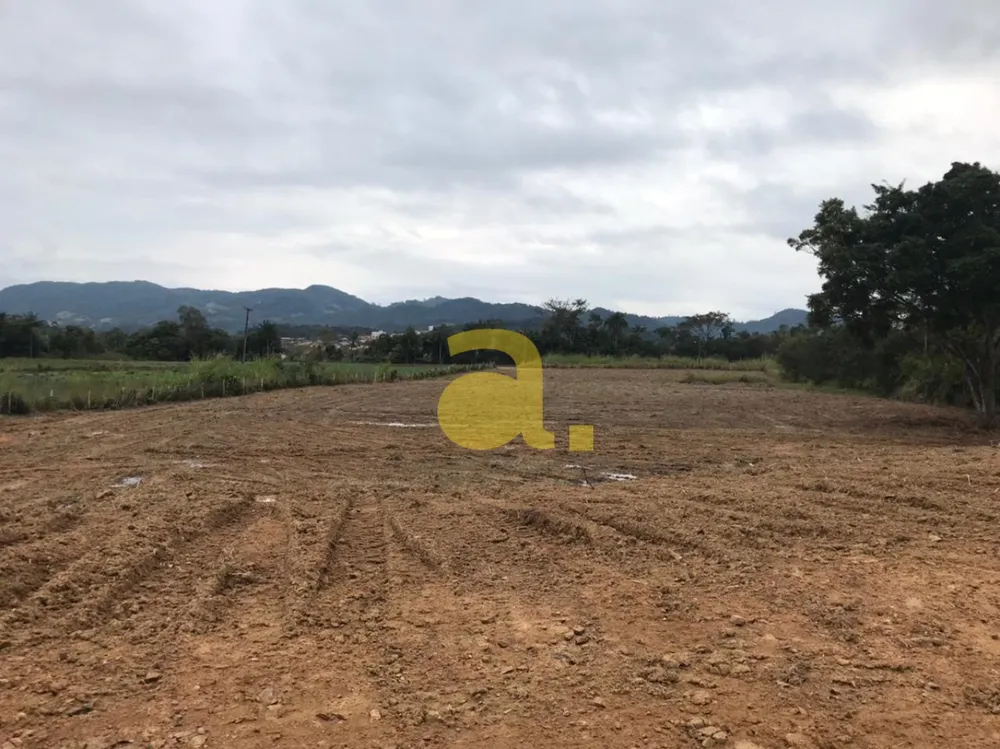 Terreno, 2 hectares - Foto 6