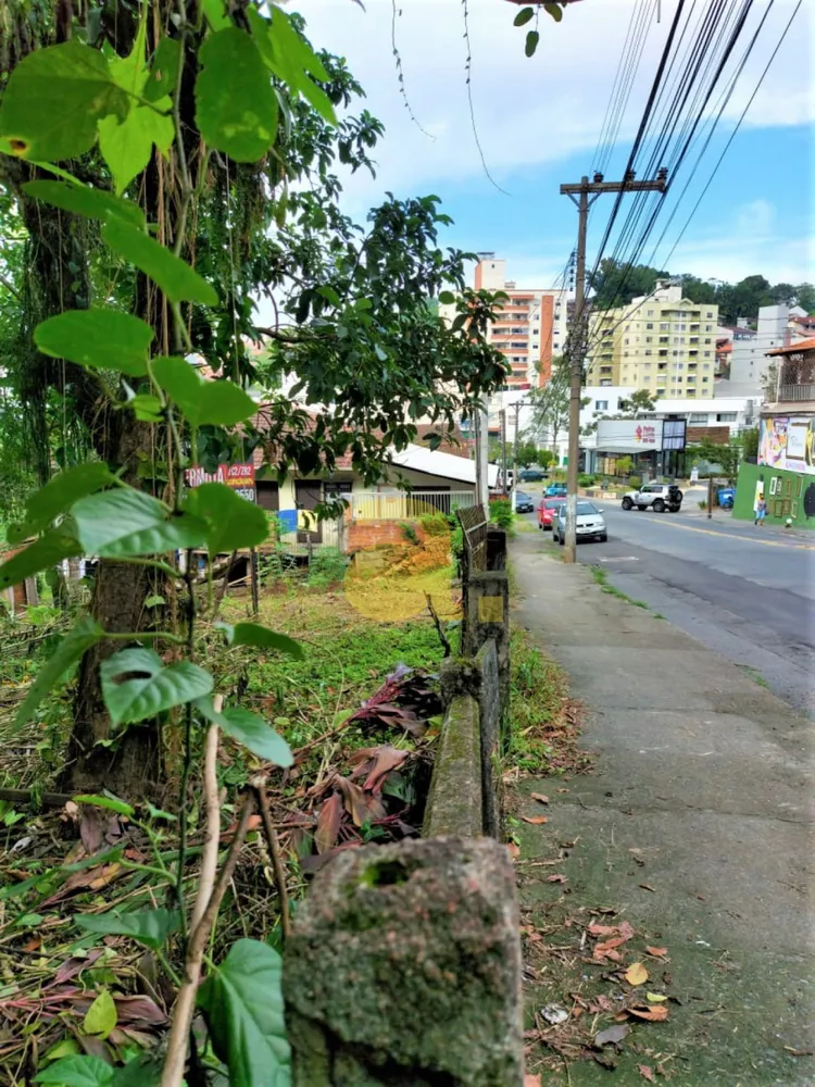 Terreno, 1375 m² - Foto 3