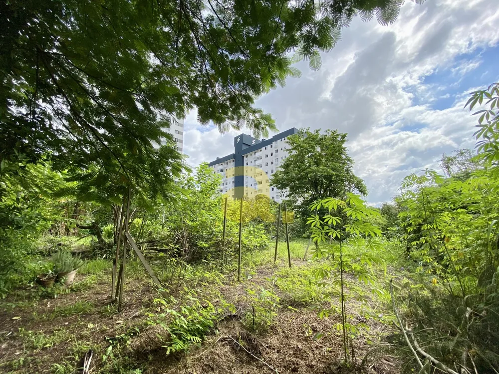 Casa, 4 quartos, 228 m² - Foto 8