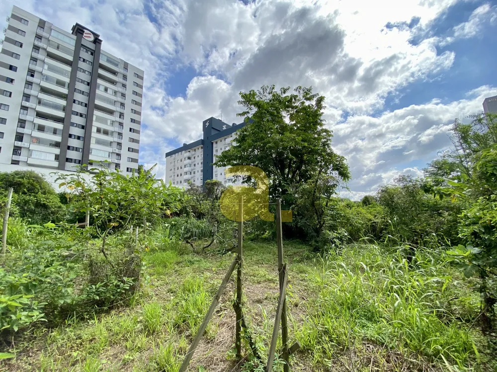 Casa, 4 quartos, 228 m² - Foto 13