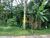 Terreno, 796 m² - Foto 3