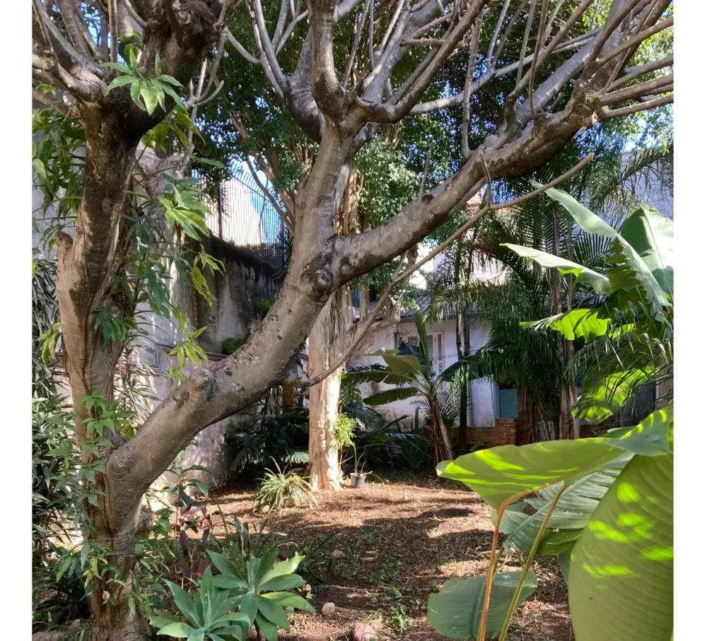 Casa, 4 quartos, 235 m² - Foto 2