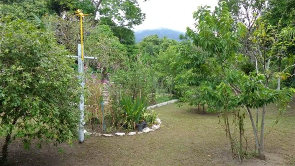 Chácara, 3 quartos, 1350 m² - Foto 3