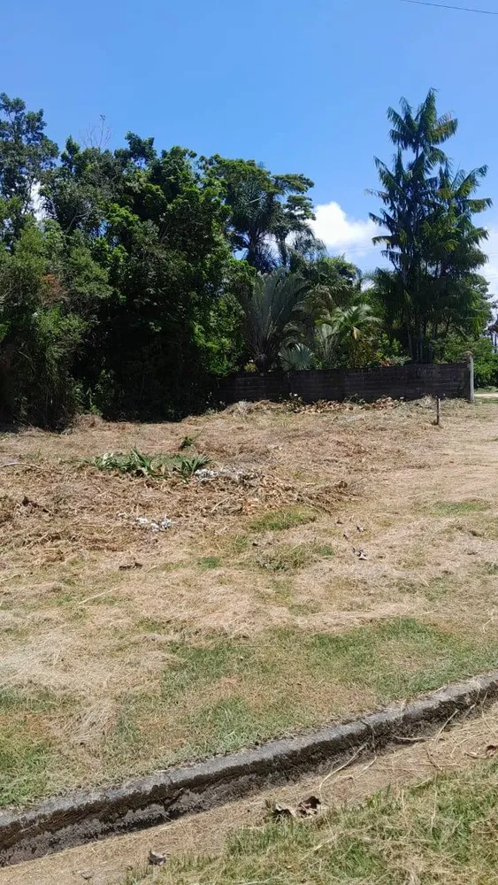 Terreno, 342 m² - Foto 2