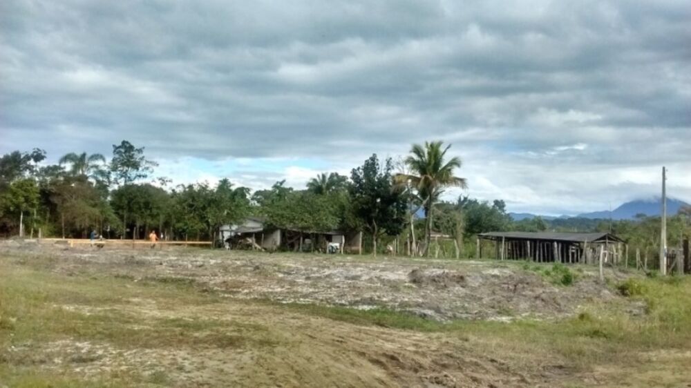 Chácara, 3 quartos, 3680 m² - Foto 3