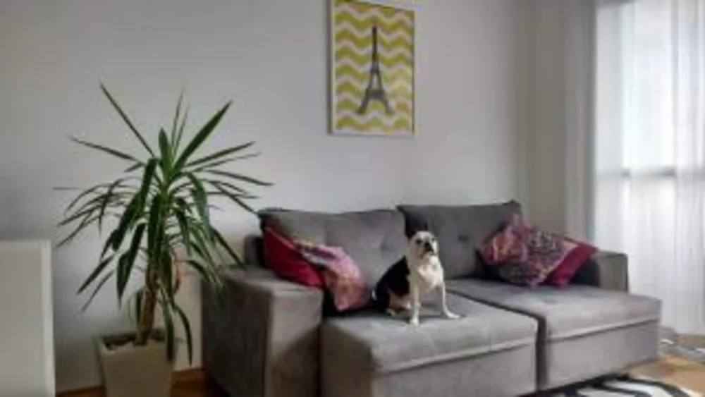 Apartamento, 2 quartos, 49 m² - Foto 1