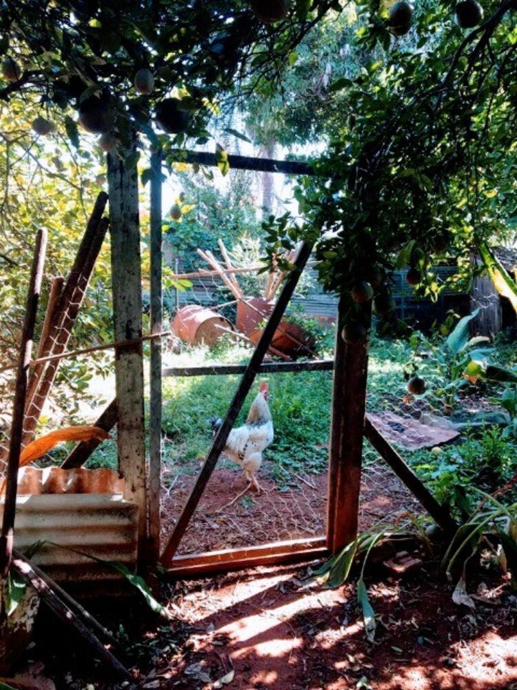Terreno à venda, 322m² - Foto 5