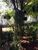 Terreno, 322 m² - Foto 4