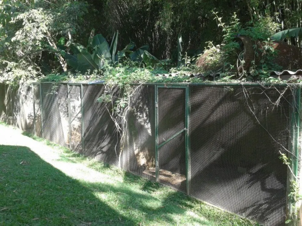 Chácara, 4 quartos, 1 hectares - Foto 4