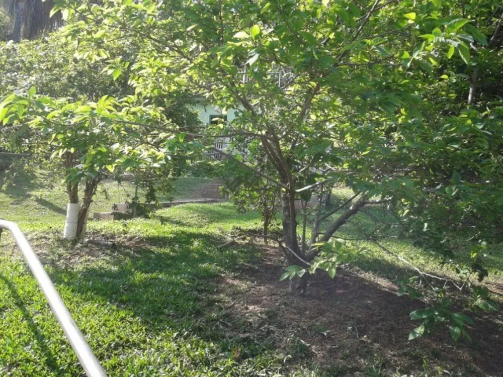Chácara, 4 quartos, 1 hectares - Foto 7