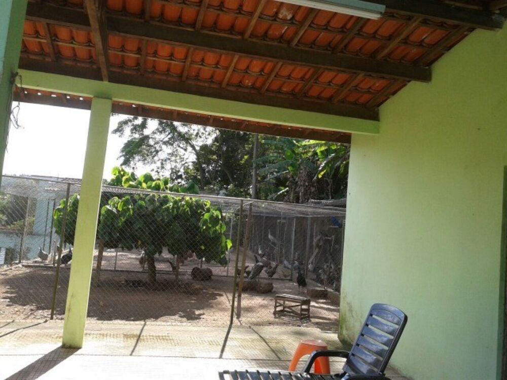 Chácara, 4 quartos, 1 hectares - Foto 2