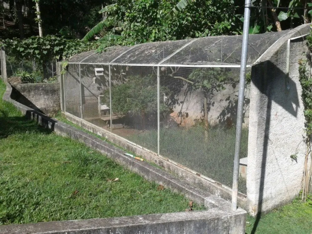 Chácara, 4 quartos, 1 hectares - Foto 3