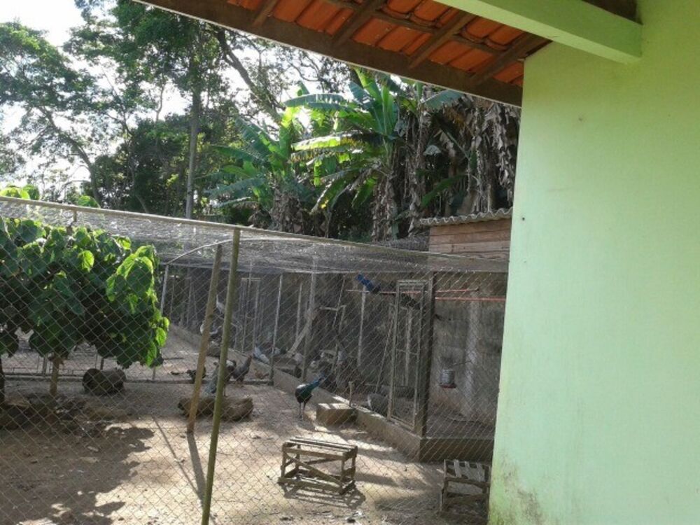 Chácara, 4 quartos, 1 hectares - Foto 4