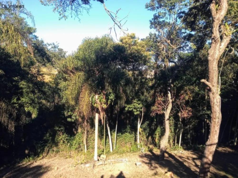 Chácara, 3 quartos, 8 hectares - Foto 8