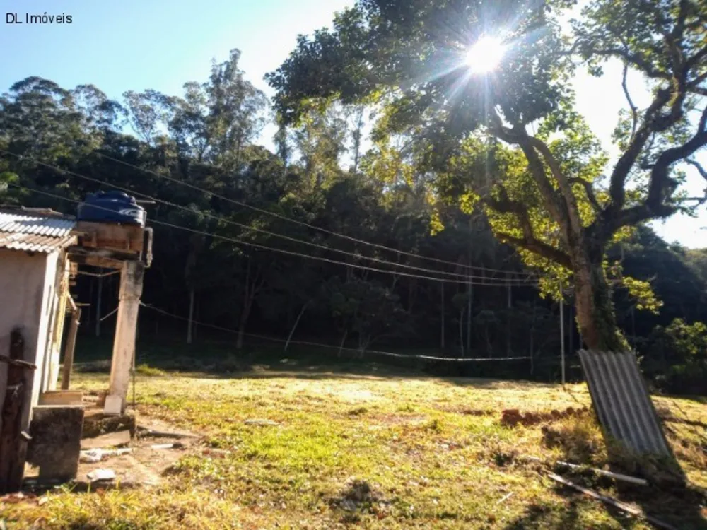 Chácara, 3 quartos, 8 hectares - Foto 4