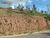 Terreno, 1492 m² - Foto 8