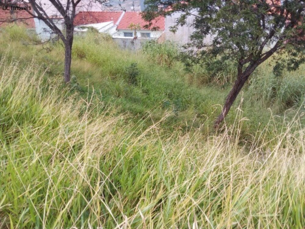 Terreno, 355 m² - Foto 6