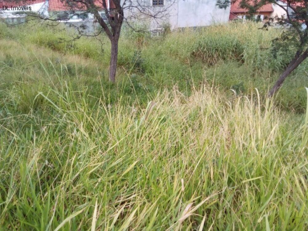 Terreno, 355 m² - Foto 5