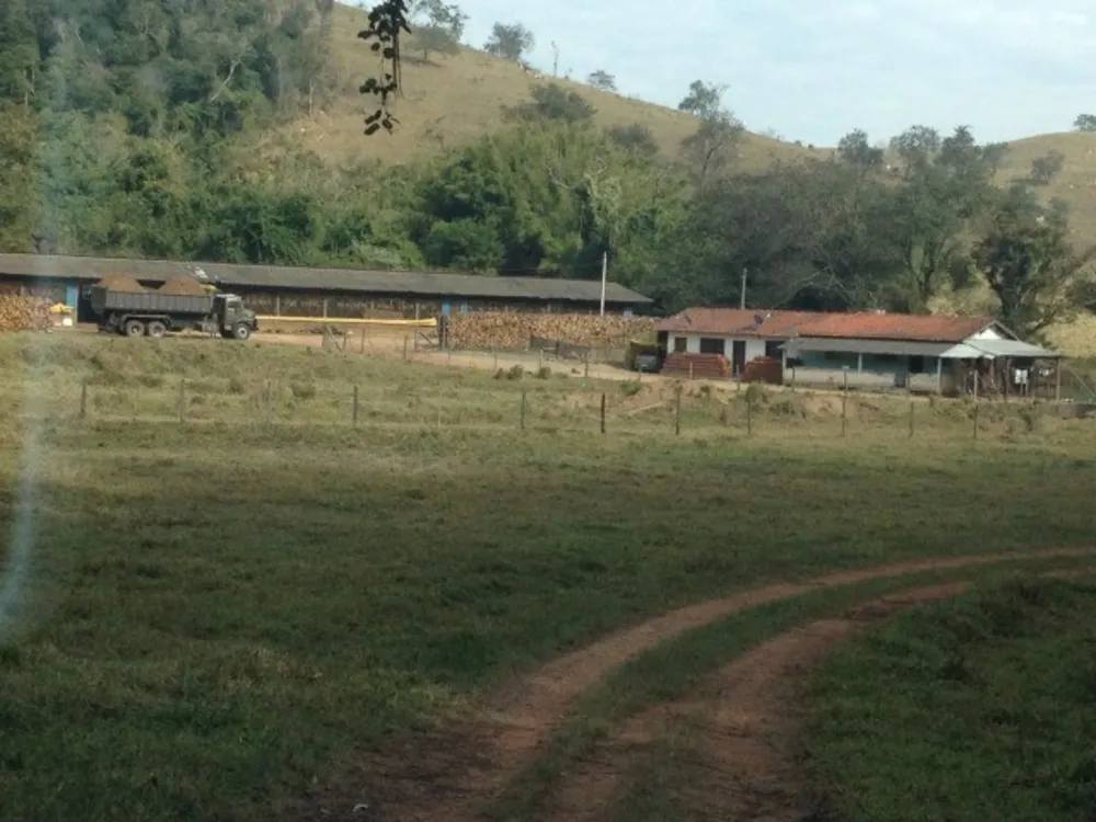 Sítio, 6 quartos, 100000 m² - Foto 9