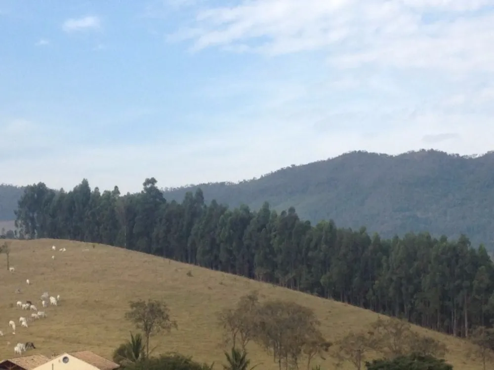 Sítio, 6 quartos, 100000 m² - Foto 12