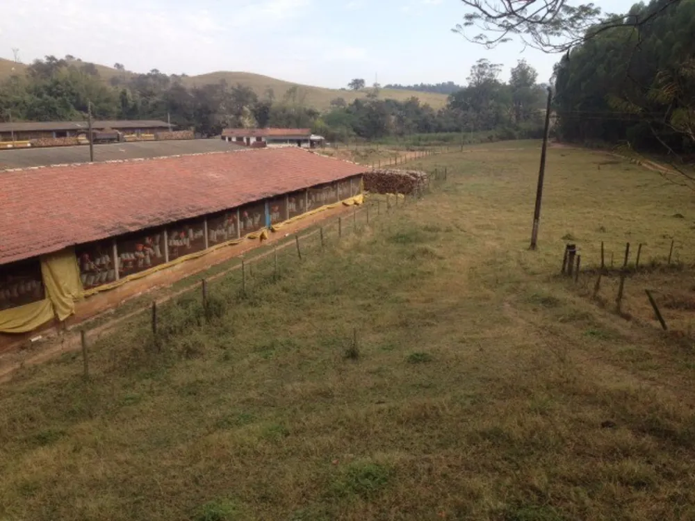 Sítio, 6 quartos, 100000 m² - Foto 16