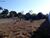 Terreno, 2000 m² - Foto 1