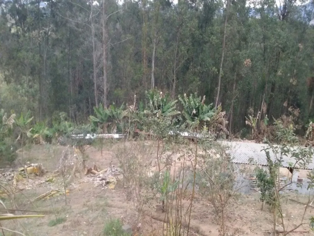 Chácara, 6 quartos, 5050 m² - Foto 12