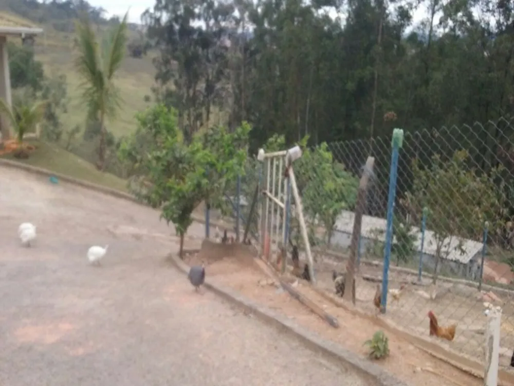 Chácara, 6 quartos, 5050 m² - Foto 12