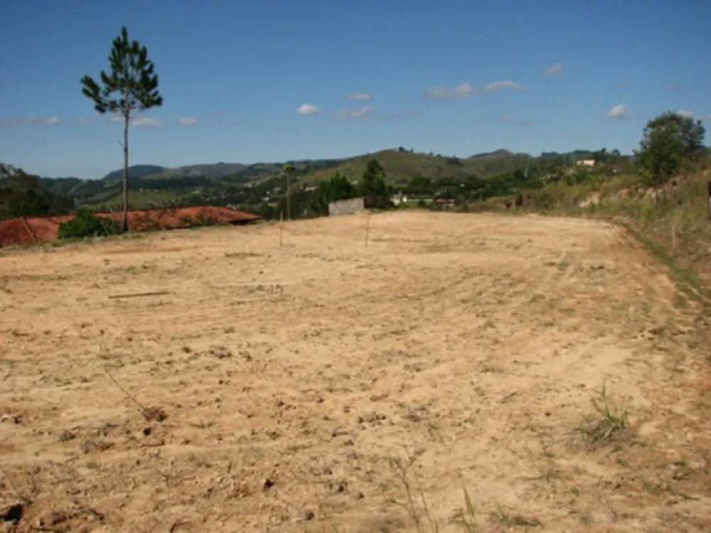 Sítio, 8 quartos, 22 hectares - Foto 9