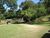 Sítio, 8 quartos, 22 hectares - Foto 4
