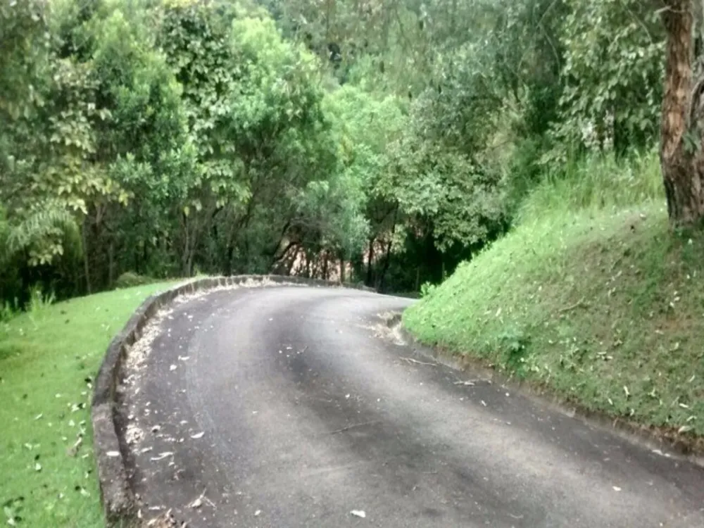 Chácara, 4 quartos - Foto 12